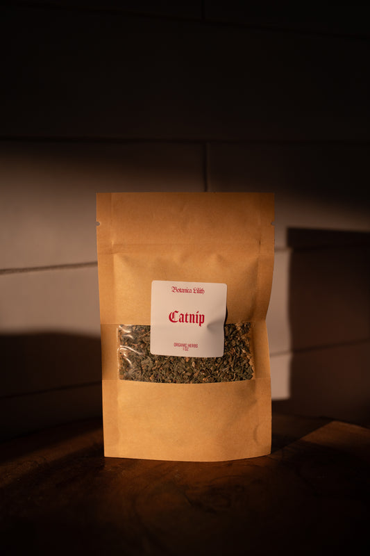 Catnip